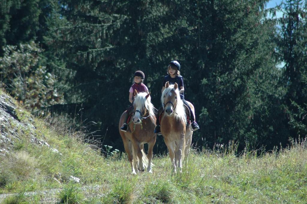 Reisach Knaller Der Reiterbauernhof מראה חיצוני תמונה
